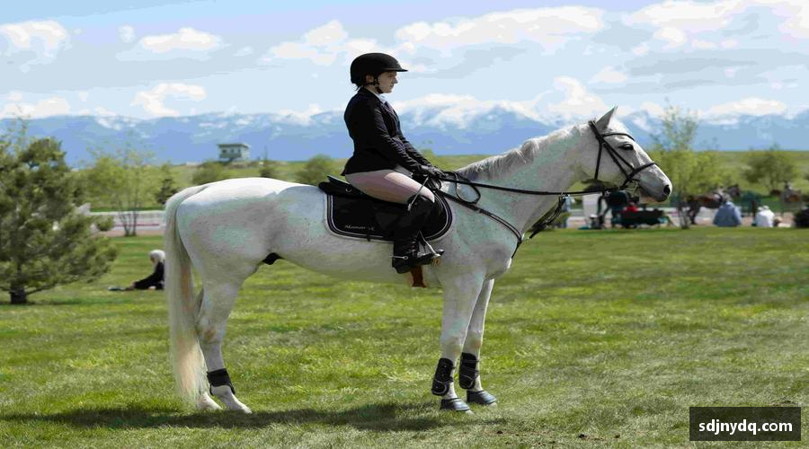 三亿体育官网入口🌐 一键开启，全球赛事尽在掌握！📡